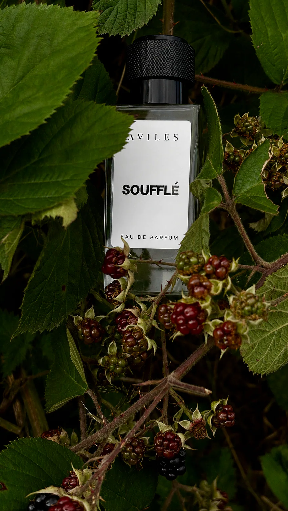 Soufflé, a past bespoke perfume commission by Avilés